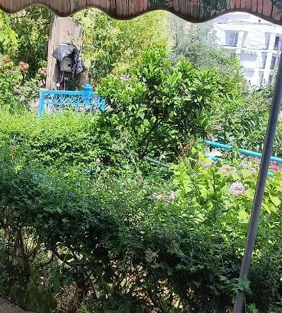 Dervishaj *