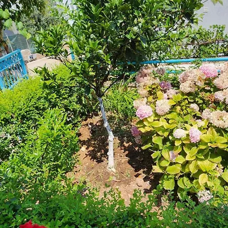 Dervishaj Daire Ksamil