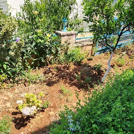 Dervishaj * Ksamil
