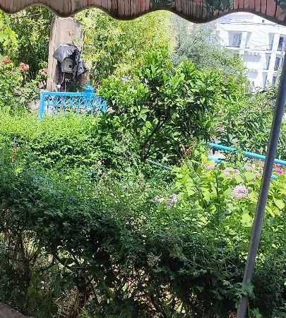 Dervishaj *