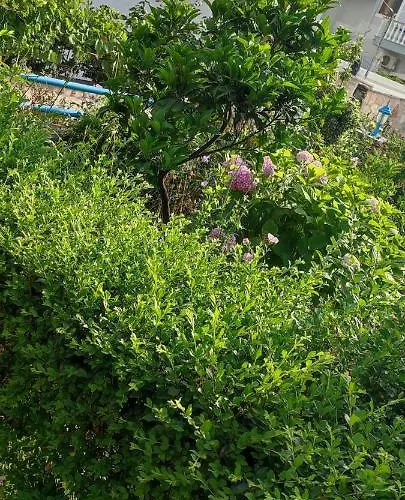 Dervishaj Appartamento *