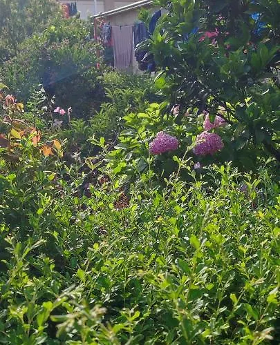 Dervishaj Appartamento *